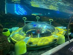 -瑞普利水族馆