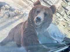 -北京野生动物园