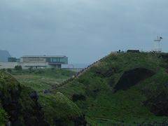 -涉地可支