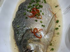 -天宁凯利时尚餐厅