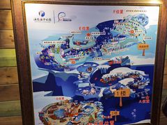 -海合安青岛极地海洋公园
