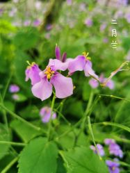 -玄武湖景区-情侣园游乐场