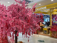 -新世界百货(顺义店)