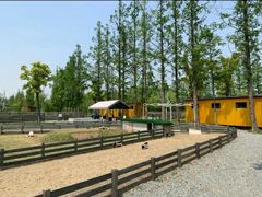 -前小桔亲子创意农场·草莓采摘·露营烧烤