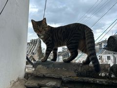 -和顺古镇