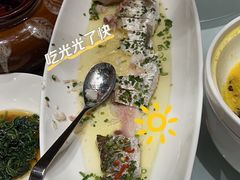 -沪碟·精菜坊(闵行店)