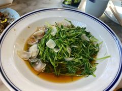 炝炒豆苗-南山渔宴