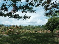 -中国科学院西双版纳热带植物园