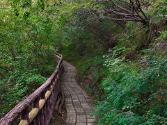 -圣莲山风景区