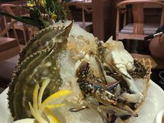 -尚海豆捞(乐虹坊店)