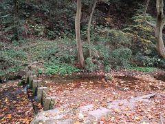 -龙坞茶村