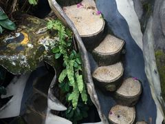 -疯狂屋