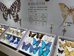 -烟台市博物馆