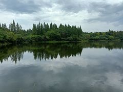 -东平国家森林公园