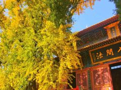-宝通禅寺
