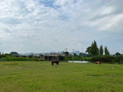 -普者黑风景区-青龙山