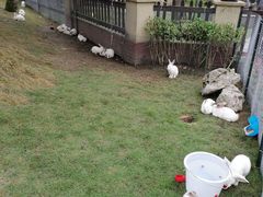 -洪湖家庭农场·团建·露营·会议