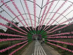 -苏州太湖西山岛开心农场
