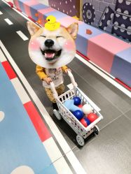-利奥梦幻主题乐园(爱琴海购物公园店)