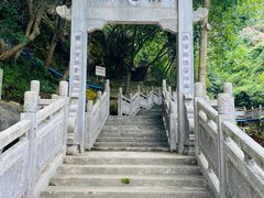 -南海湾森林生态园