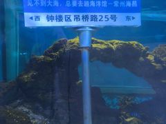 -常州海昌海洋探索馆