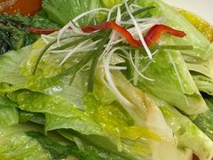 白灼生菜-翠香阁潮州菜馆·始于1994(珠江路店)