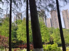 -重庆彩云湖湿地公园