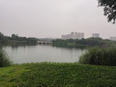 -眉山湿地公园(东坡区)