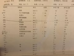 -谐和益家动物医院·免疫绝育·血液透析·宠保定点医院(高新伊藤分院)