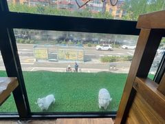 -老诚一锅(乔庄店)