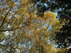 -Peet's Coffee皮爷咖啡(豫园店)