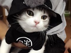 -瑞派福兴宠物医院犬猫全科·骨科·中西医结合(河东店)