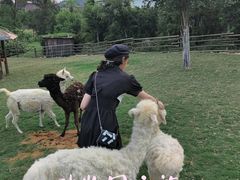 -泉州海丝野生动物世界