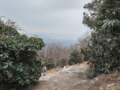 -紫金山山顶公园
