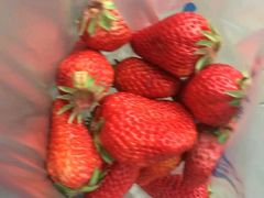 -明辉果业(章家巷小区延长西路526弄店)