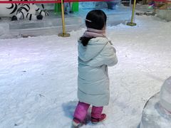 -宁波冰雪大世界(北仑区)