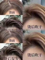 -SalonRivelin 沙龙瑞菱