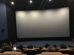 -红星电影世界上海张江绿地店