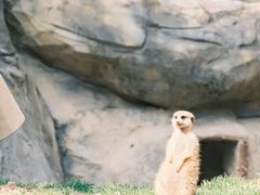 -红山森林动物园