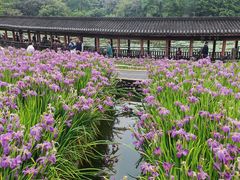 -龙头寺公园