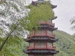 -莫干山风景区