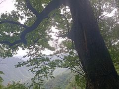 -洛阳白云山景区