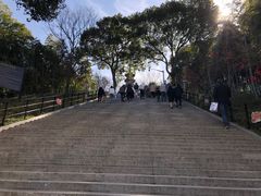 -上海佘山国家森林公园西佘山园