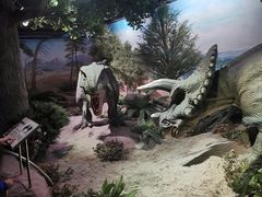 -国家自然博物馆