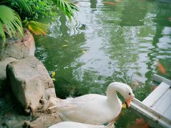 -厦门日月谷温泉渡假村