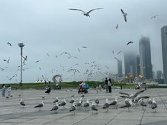 -东港音乐喷泉广场