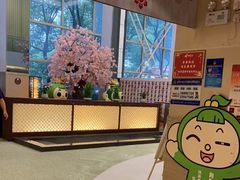 -浅深Cheersum(曹杨店)