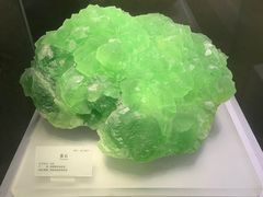 -湖南省地质博物馆