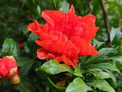 -兰湘子·湘菜小炒(石家庄万象城店)