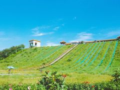 -南戴河国际娱乐中心